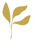消息 - C7娱乐游戏APP