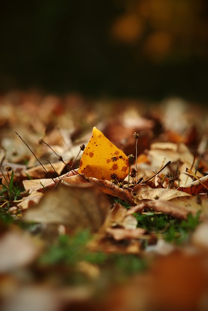 的轻量化及 的轻量化及