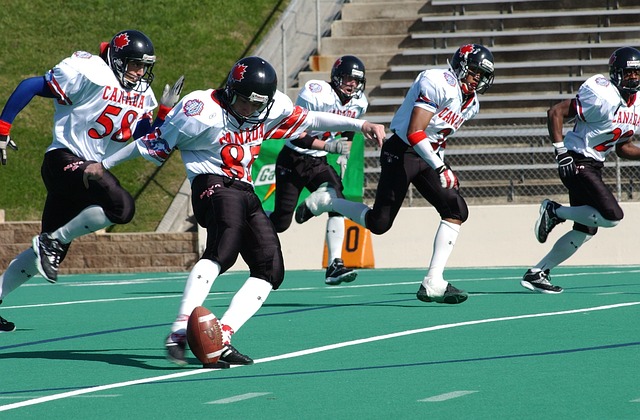 球迷的热情 球迷的热情