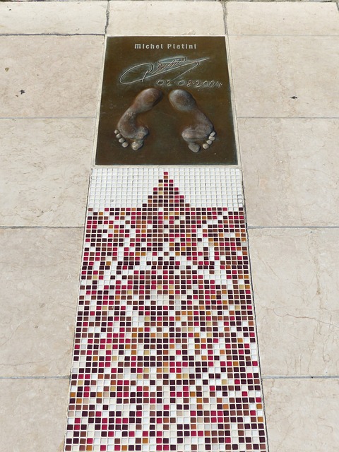 子综合素质 子综合素质