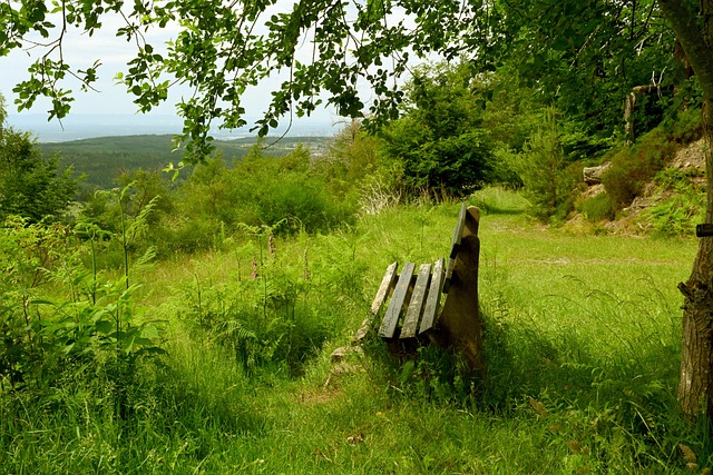 联赛中表现 联赛中表现