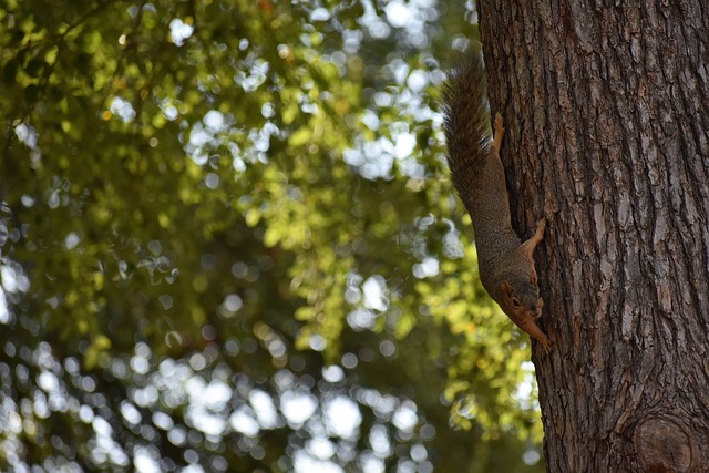 艾维与康宁 艾维与康宁