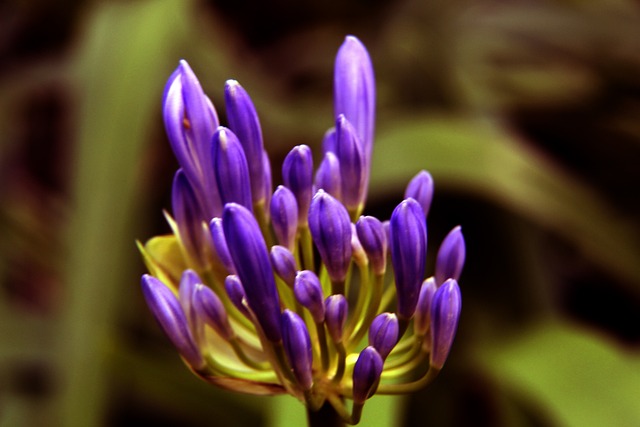 主場新策略 主場新策略