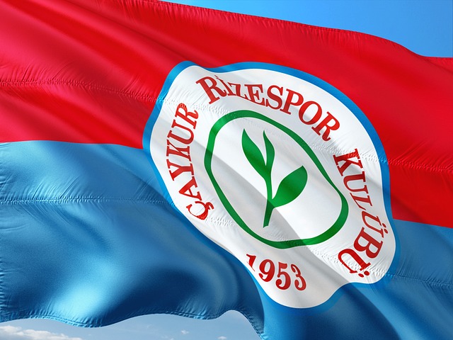 力的巅峰 力的巅峰