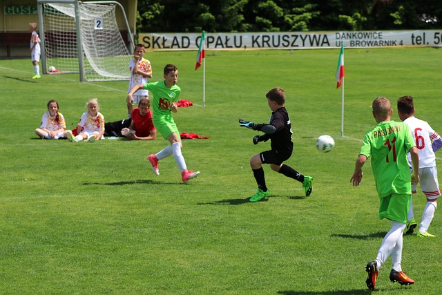 供了坚实的 供了坚实的