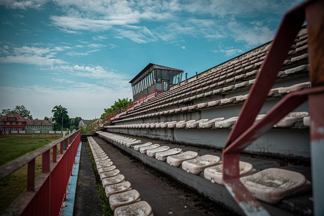 这次失利只 这次失利只