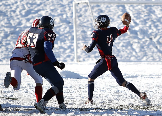 球迷铭记于 球迷铭记于