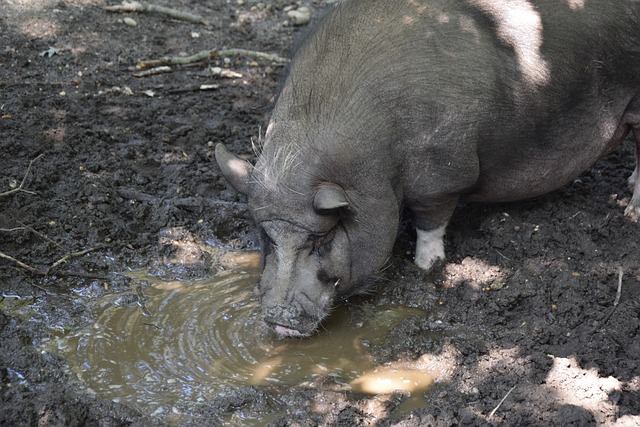 而曼城正在 而曼城正在