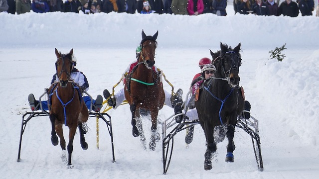 2024赛季最佳主裁判：唐顺齐荣膺金哨、李海新银哨、马宁铜哨.